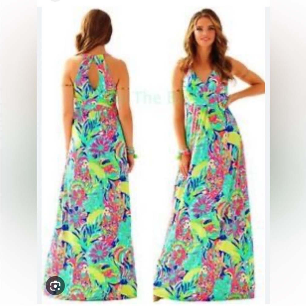 Lilly Pulitzer Seaview Maxi Dress - Picture 3 of 6